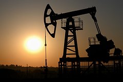 Мировым ценам на нефть спрогнозировали рост