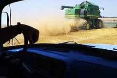 В России раскрыли объемы сбора зерновых