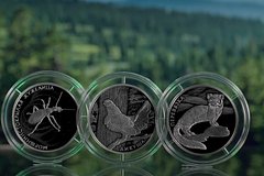 В России выпустили монеты с морщинистокрылой жужелицей